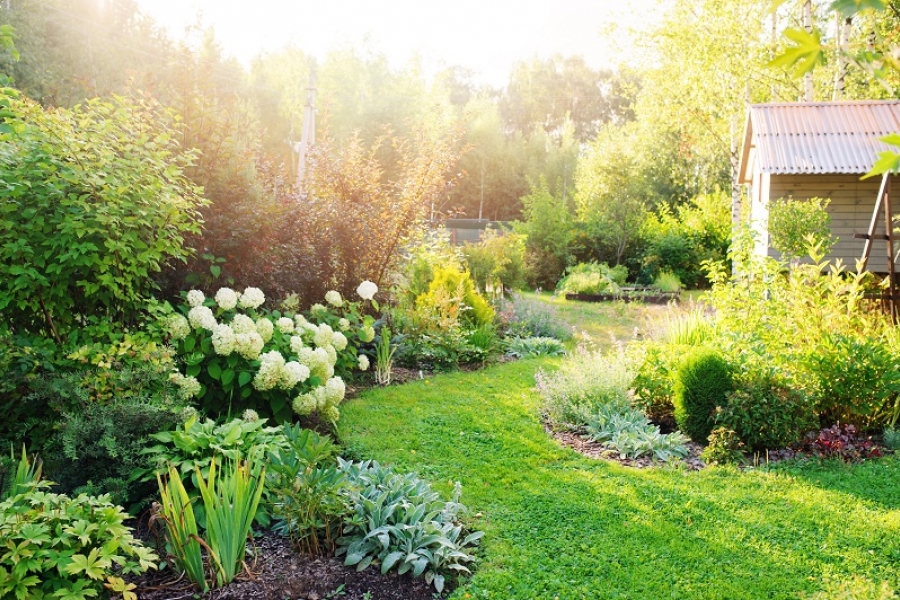Comment créer un jardin facilement chez soi : les 5 points clés pour bien  démarrer